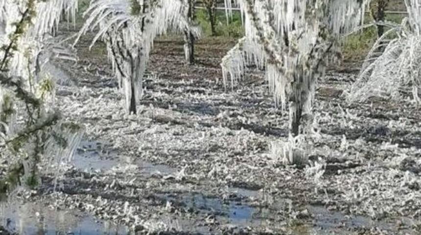 Elmalı&rsquo;yı Don Vurdu