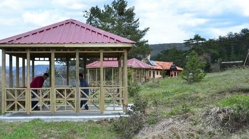 Ziyaret&ccedil;i Merkezlerine Kamelya Yerleştirildi