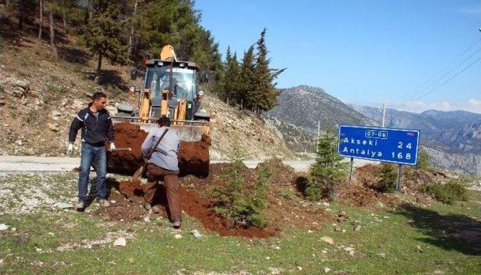 İbradı’da Ağaçlandırma Çalışmaları Başlatıldı Antalya Haberleri