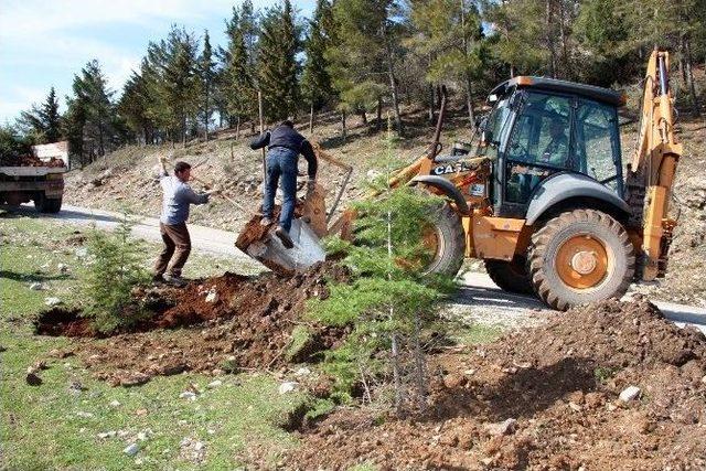 İbradı’da Ağaçlandırma Çalışmaları Başlatıldı