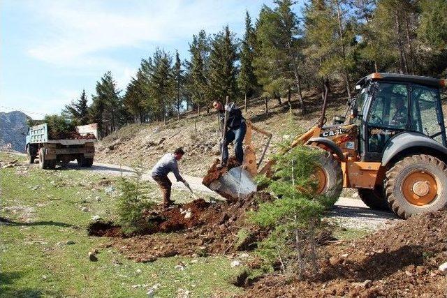 İbradı’da Ağaçlandırma Çalışmaları Başlatıldı