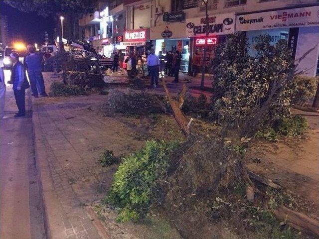 Aşırı Hız Ve Alkol Kaza Yaptırdı: 1 Ölü, 1 Yaralı