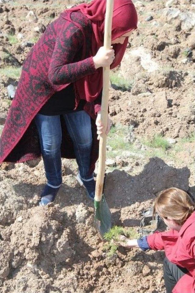 Kocasinan Kaymakamlığı Personeli Çanakkale Şehitler Ormanı’na Fidan Dikti