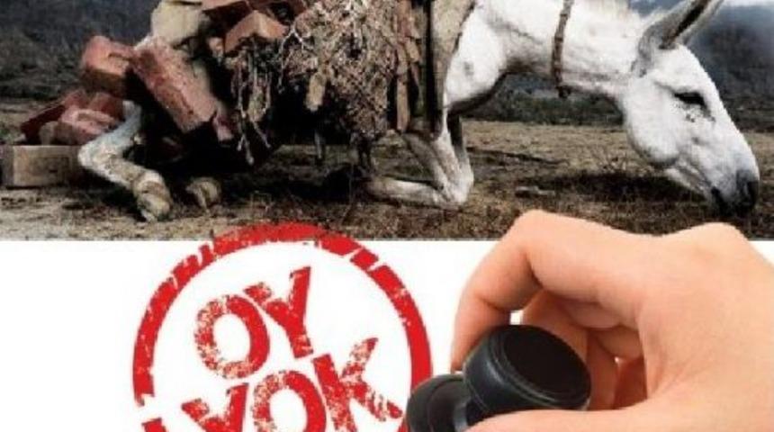 Hayvan Haklarını Yok Sayana Oy Yok