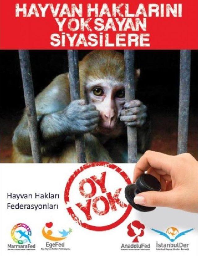 Hayvan Haklarını Yok Sayana Oy Yok