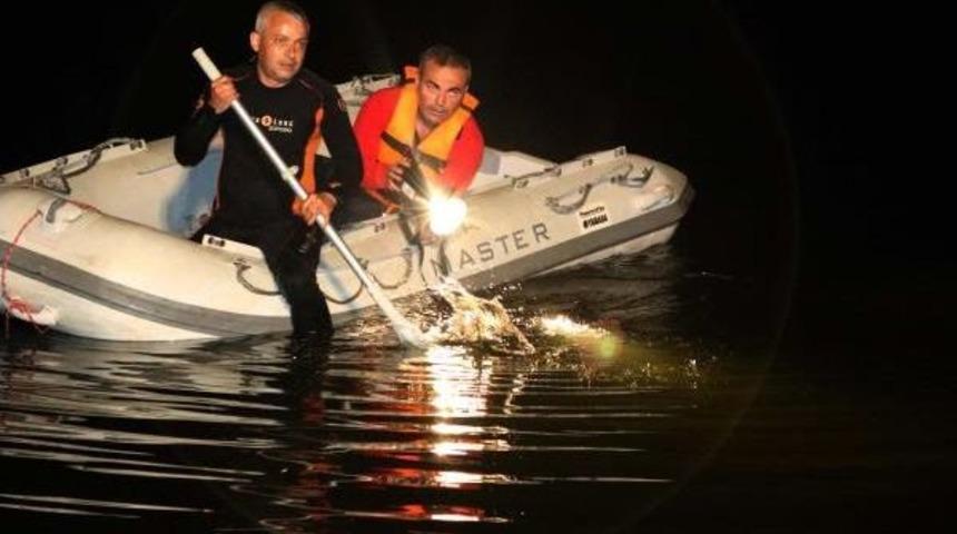 Otomobilleri Baraja U&ccedil;an &Ccedil;ift &Ouml;ld&uuml;