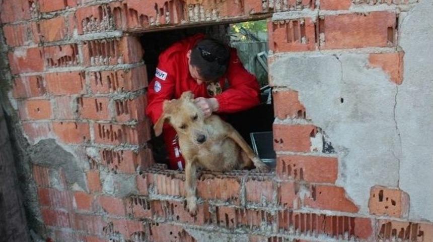 Akut’tan Kuyuya Düşen Köpeğe Yardım Eli