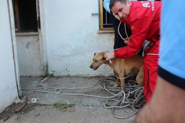 Akut’tan Kuyuya Düşen Köpeğe Yardım Eli