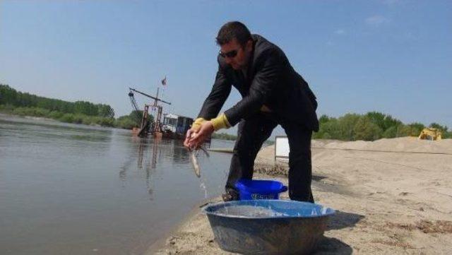 Taşkın Suları Çekilince Tarlalar Balıkla Doldu 1
