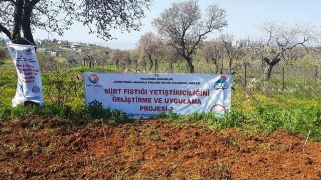 Gap&rsquo;tan Siirtli &Ccedil;ift&ccedil;ilere Destek 2