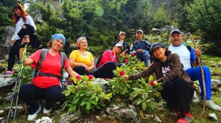 Kepez Antalyalıları Şakayık&rsquo;la Buluşturdu