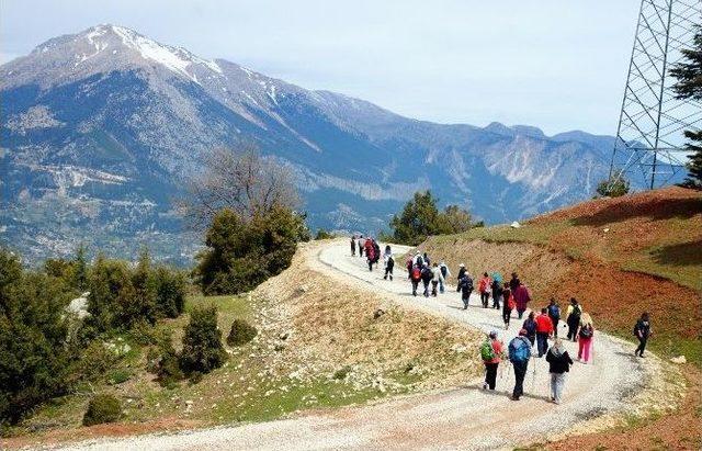 Kepez Antalyalıları Şakayık’la Buluşturdu