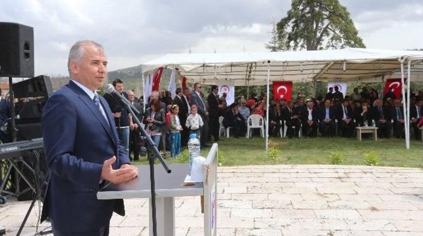 Denizli&rsquo;deki Ters Lale D&uuml;nyaya Tanıtılacak