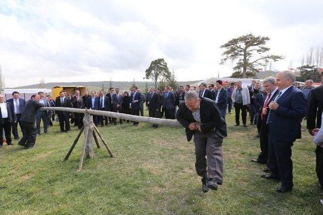 Denizli’deki Ters Lale Dünyaya Tanıtılacak 1