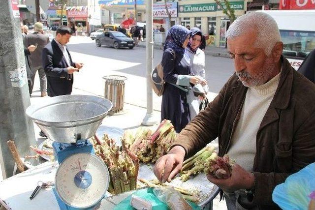 Şifa Dağıtan ’ışkın’ 5 Liradan Tezgahlarda Yerini Aldı