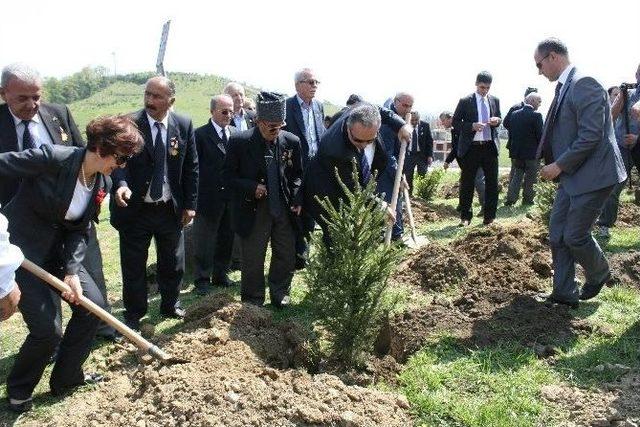 &Uuml;niversitede Muharip Gaziler Hatıra Ormanına Fidan Dikildi 1