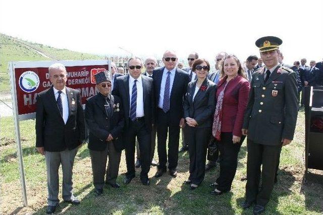 &Uuml;niversitede Muharip Gaziler Hatıra Ormanına Fidan Dikildi 2