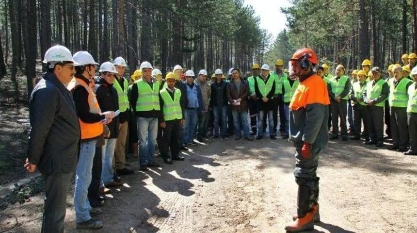 Orman B&ouml;lge M&uuml;d&uuml;rl&uuml;ğ&uuml; &Uuml;retim Tatbikatlarına Başladı