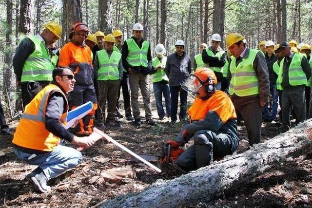 Orman Bölge Müdürlüğü Üretim Tatbikatlarına Başladı