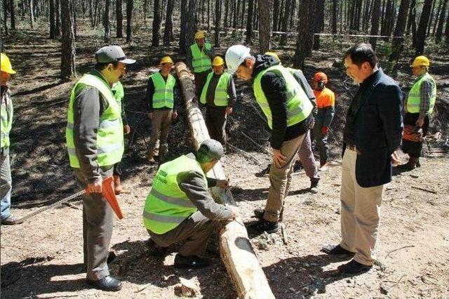 Orman Bölge Müdürlüğü Üretim Tatbikatlarına Başladı