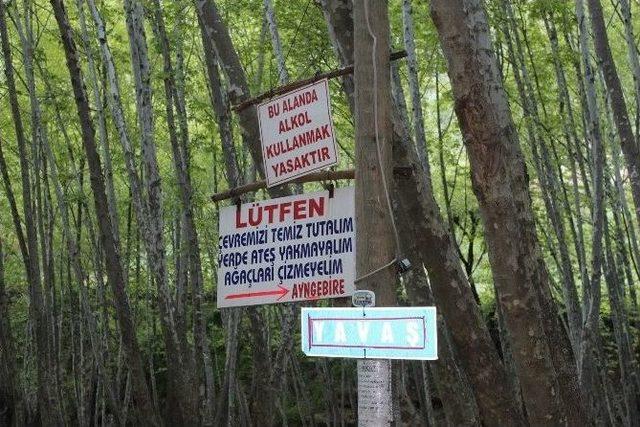 Bahar Geldi Piknik Alanları Doldu 1