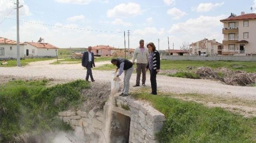 Cihanbeyli’de Larva İlaçlamalarına Başlandı