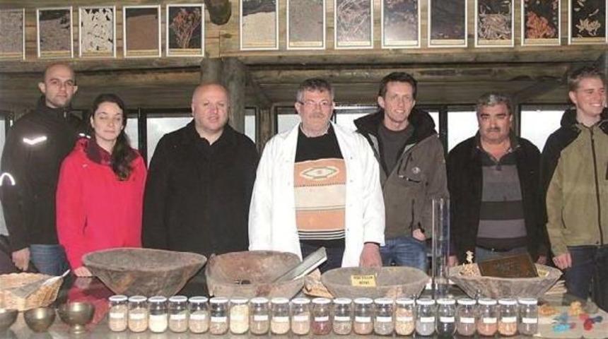 Plants Of Kaz Mountains In New Museum
