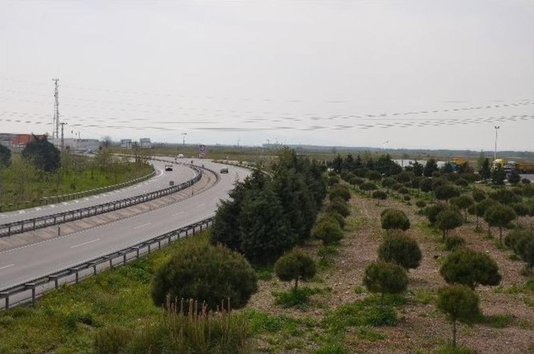 Bu B&ouml;lgeye Yatırım Yapan Kazanacak