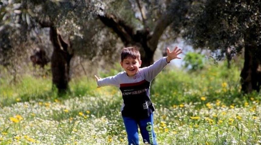 Doğa Yeşillendi, &Ccedil;ocuklar Şenlendi