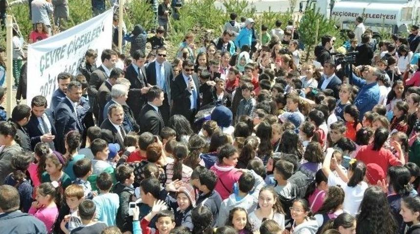 &Ccedil;evre &Ccedil;i&ccedil;ekleri 2071 Ağacı Toprakla Buluşturdu