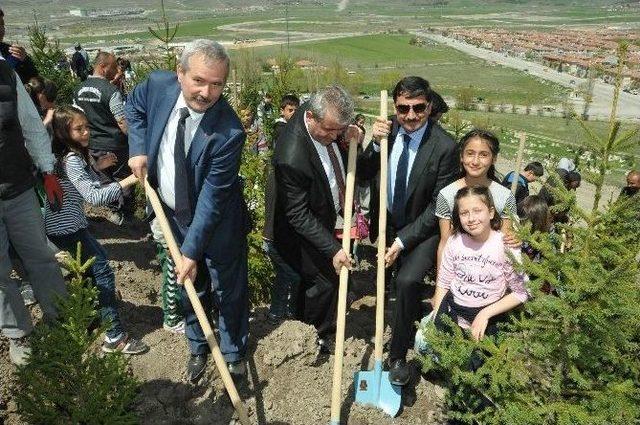 Çevre Çiçekleri 2071 Ağacı Toprakla Buluşturdu