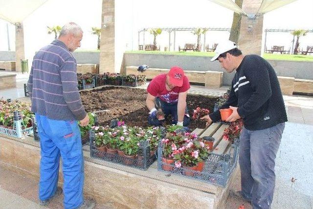 Akçakoca Fedai Karabıyık Parkı Çiçekleniyor