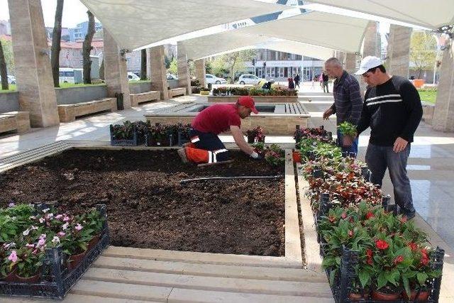 Akçakoca Fedai Karabıyık Parkı Çiçekleniyor