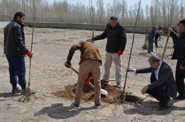 Adilcevaz'da 270 Meyve Fidanı Toprakla Buluşturuldu