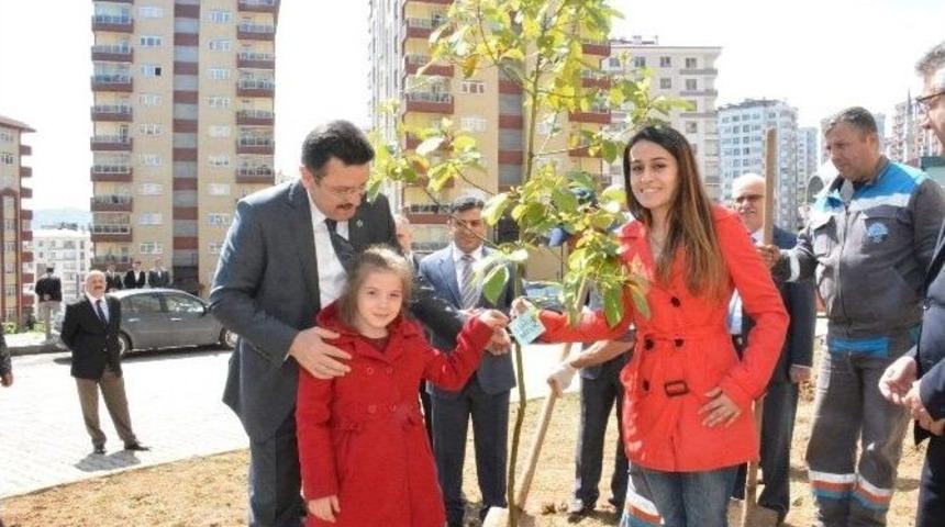 Ortahisar&rsquo;dan Fidan Dikim Seferberliği