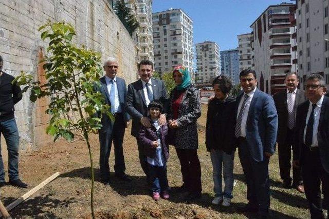 Ortahisar’dan Fidan Dikim Seferberliği