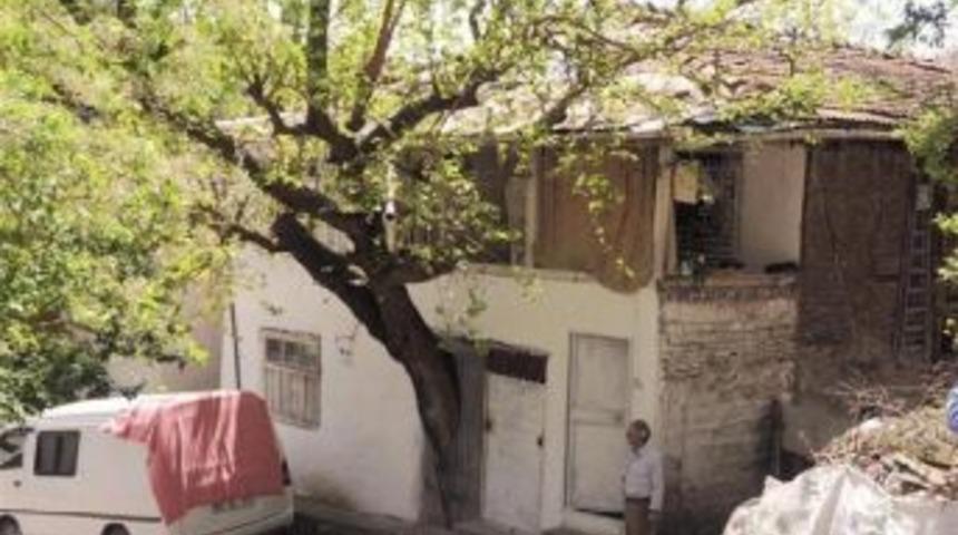 Turkish Family Allows Tree To Grow Inside House