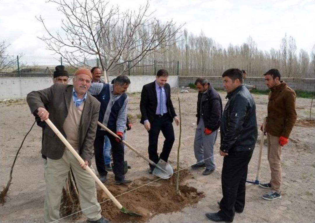 Adilcevaz Belediyesi&rsquo;nden Meyve Fidanı Dikimi