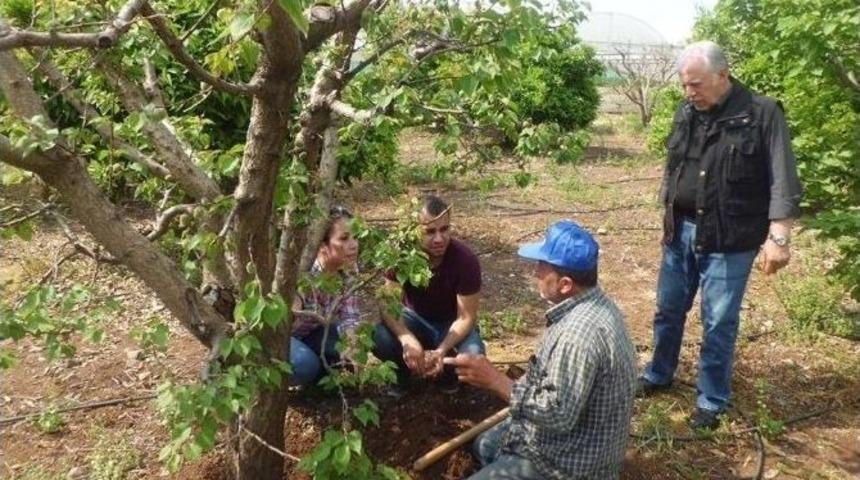 Ziraat M&uuml;hendisleri K&ouml;ylerde Eğitim Veriyor
