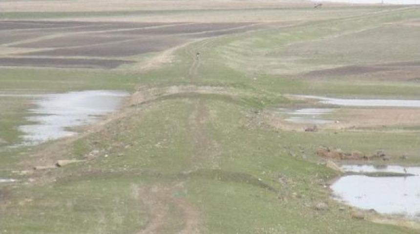 Kuyucuk Kuş Cenneti Suya Kavuştu