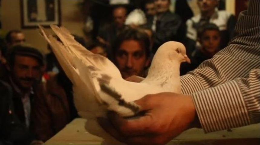 Erzurum&rsquo;da G&uuml;vercin Mezadına B&uuml;y&uuml;k İlgi