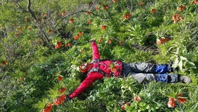 Hakkari'de Kartpostallık Görüntüler Arasında Doğa Yürüyüşü