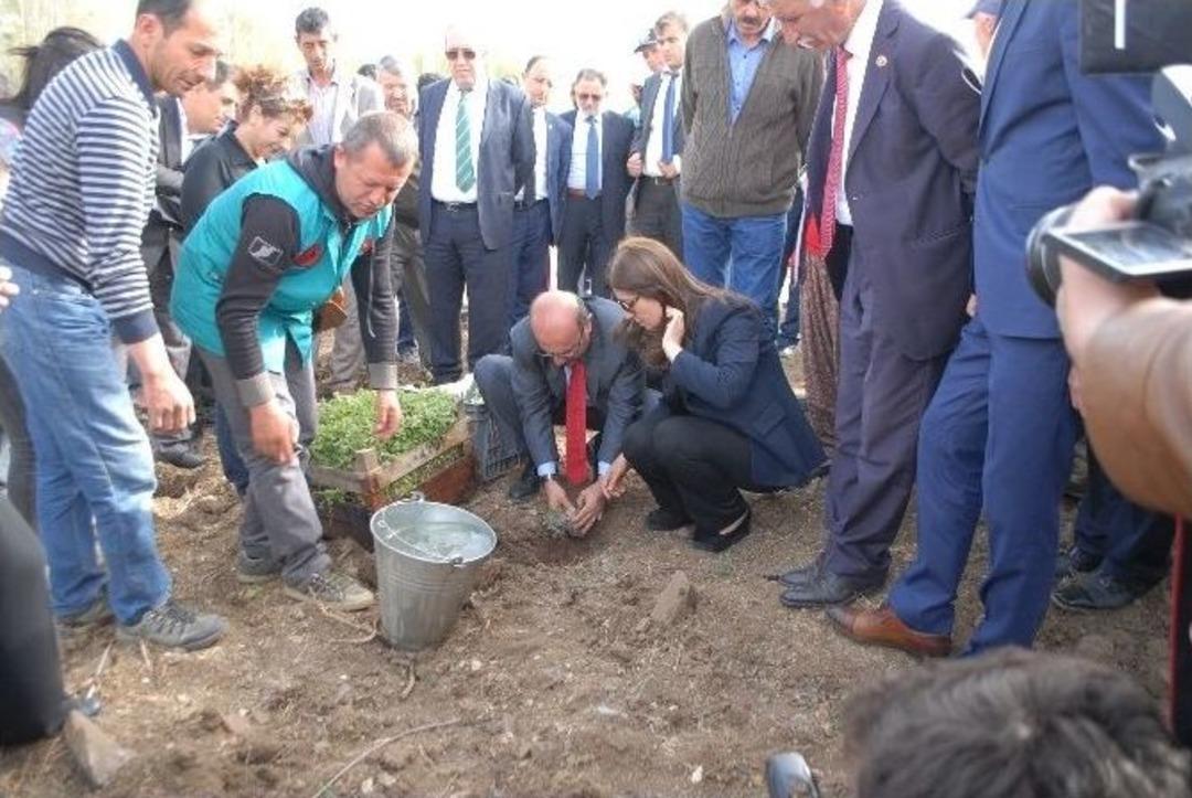 "lavanta Deresi" Projesi Hayata Ge&ccedil;irildi