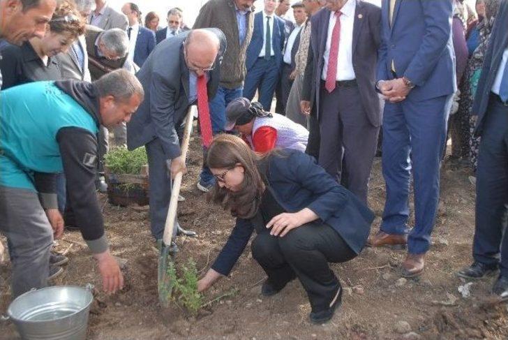 "lavanta Deresi" Projesi Hayata Geçirildi G2