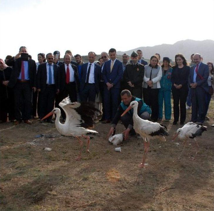 "lavanta Deresi" Projesi Hayata Geçirildi G3