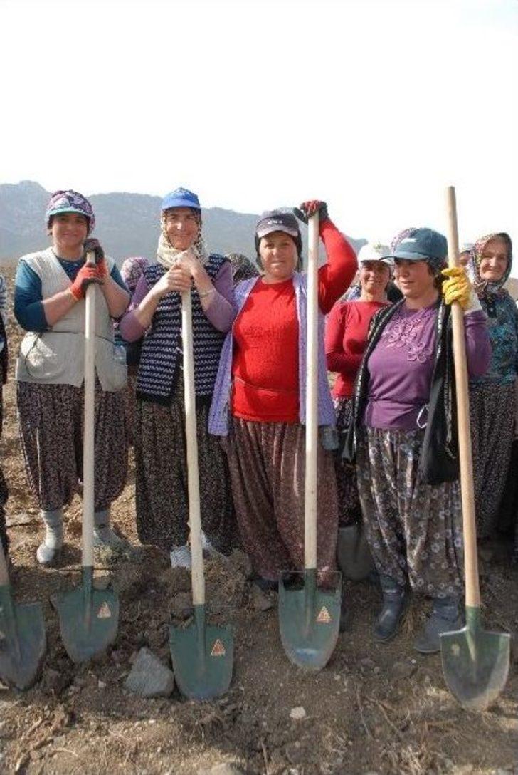 "lavanta Deresi" Projesi Hayata Geçirildi G4