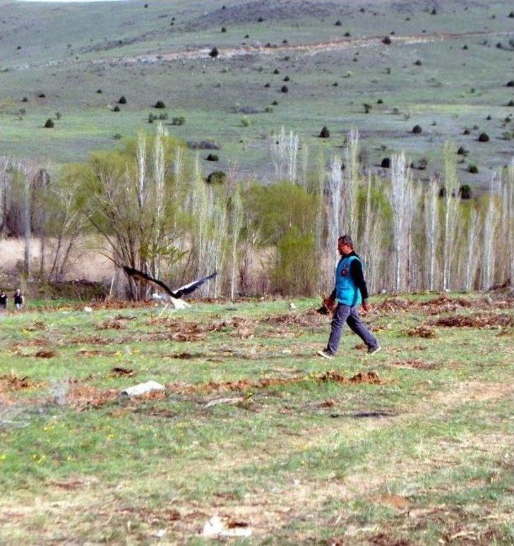 "lavanta Deresi" Projesi Hayata Geçirildi G5