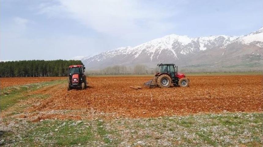 Kom&uuml;nist Başkan Organik Tohum Bankası İ&ccedil;in Kolları Sıvadı