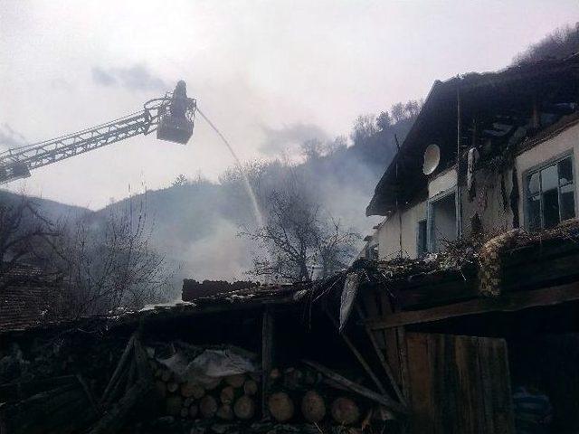 Tosya’nın Ekincik Köyünde Çıkan Yangında 3 Ev Yandı, 20 Hayvan Telef Oldu