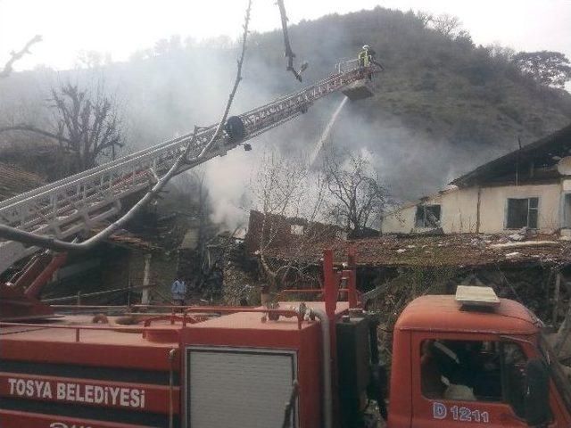 Tosya’nın Ekincik Köyünde Çıkan Yangında 3 Ev Yandı, 20 Hayvan Telef Oldu